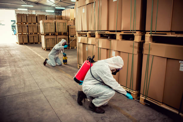 Best Rat Extermination Near Me  in Leisure Village East, NJ