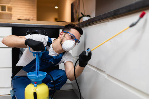 Best Wasp Removal Services  in Leisure Village East, NJ