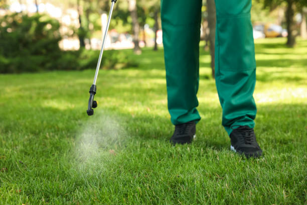 Best Residential Pest Control  in Leisure Village East, NJ